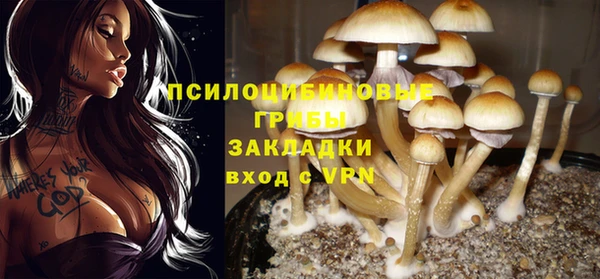 СК Володарск